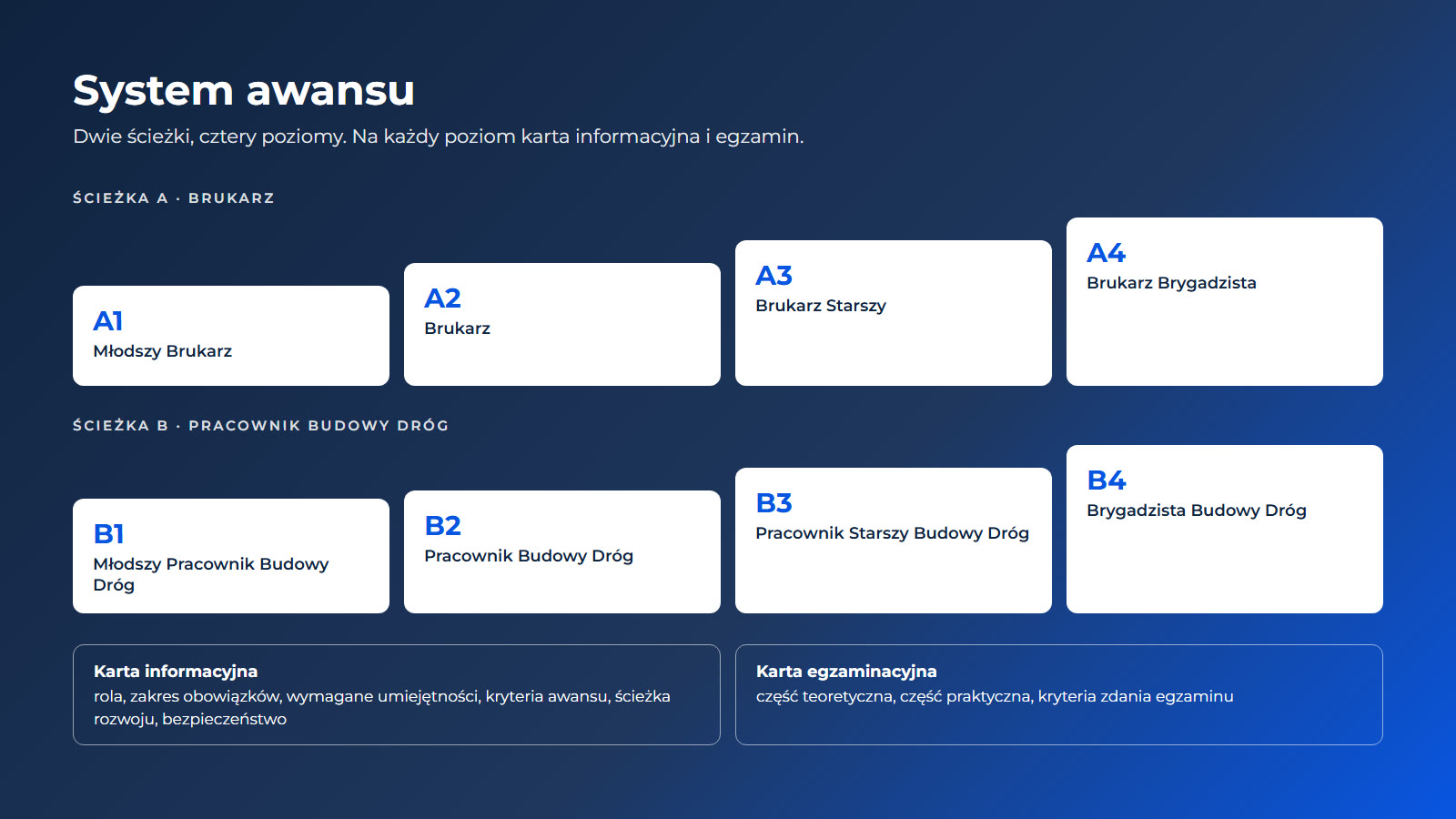 Portfolio Schemat systemu awansu: dwie ścieżki, cztery poziomy